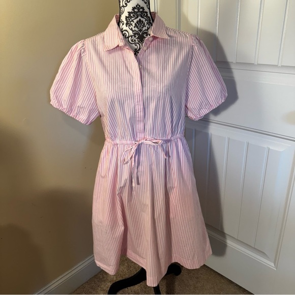 J. Crew Pink and White Striped Dress NWT - Picture 1 of 6